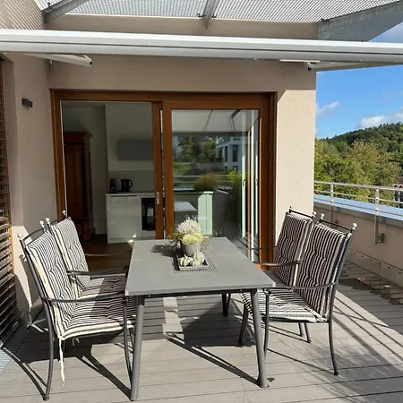 Premium Penthouse Parkblick 公寓 巴特德里堡