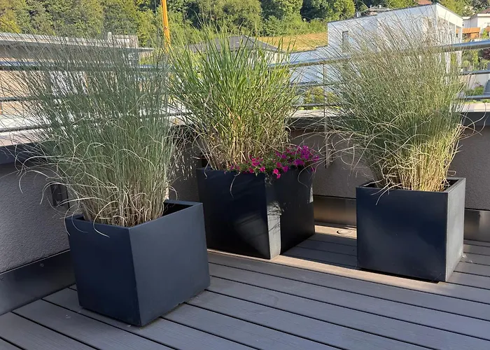 Premium Penthouse Parkblick 公寓 巴特德里堡